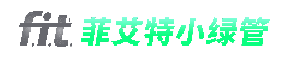 菲艾特小绿管